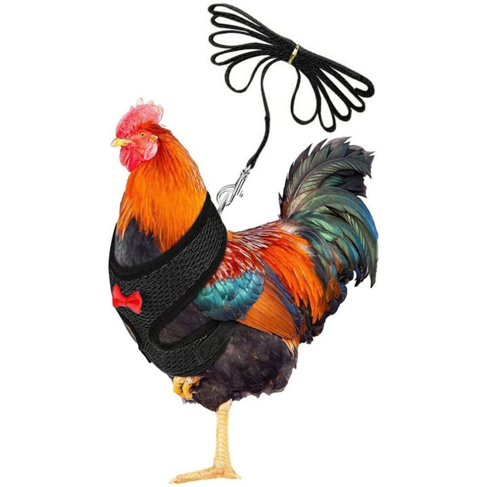 (black, One Size) Chicken Rope With Leash And Matching Belt,Comfortable Hen Pet Vest