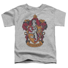 Trevco Sportswear HP8976-TT-2 Harry Potter Gryffindor 1 Toddler Short Sleeve T-Shirt, Athletic Heather - Medium 3T