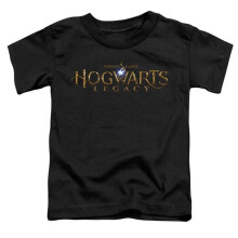 Trevco Sportswear HP10014-TT-3 Hogwarts Legacy Logo Toddler Short Sleeve T-Shirt, Black - Large 4T