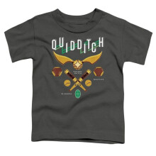 Trevco Sportswear HP8380-TT-3 Harry Potter Quidditch Equipment Logo Toddler Short Sleeve T-Shirt, Black - Large 4T