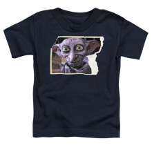 Trevco Sportswear HP7035-TT-3 Harry Potter Dobby Worn Photo Toddler Short Sleeve T-Shirt, Black - Large 4T