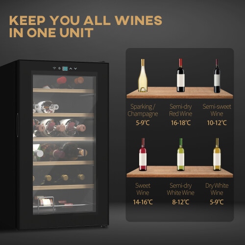Homcom 24 Bottles Wine Fridge with Glass Door Digital Touch Screen Control LED Light 2