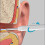 (Black) Rechargeable Ear Wax Removal Tool With Camera 10