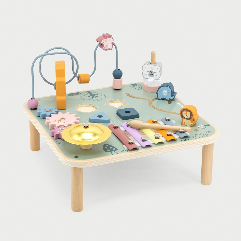 Multi Function Activity Table Polarb