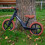 Whizz Balance Bike - Black 9