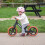 Whizz Balance Bike - Black 8