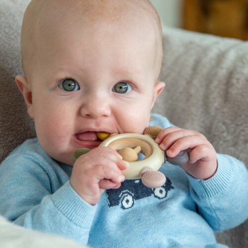SiliSoft Rattle Teether (Earth) 2