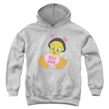 Trevco Sportswear LT10051TVAL-YFTH-1 Looney Tunes Valentines Day Tweety Bee Mine Youth Hooded Sweatshirt, Athletic Heather - Small