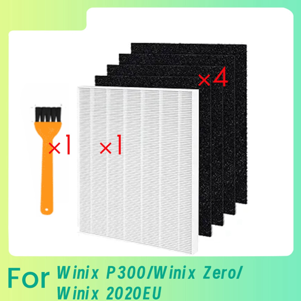 Lot de 5 filtres HEPA avec brosse de nettoyage pour P300/Zero