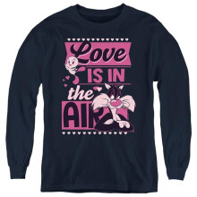 Trevco Sportswear LT10048VAL-YL-1 Looney Tunes Valentines Day Tweety Sylvester Love in The Air Long Sleeve Youth T-Shirt, Navy - Small