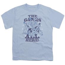 Trevco Sportswear LT185-YT-3 Looney Tunes Blue Gang Youth Short Sleeve T-Shirt, Light Blue - Large
