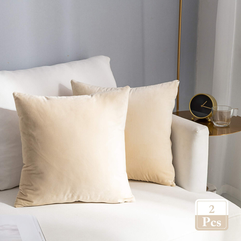 Stellhome Lot de 2 housses de coussin carr   es d   coratives en velours pour lit, canap   , banc, 50 x 50 cm, beige