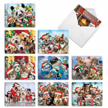 Det bsta kortfretaget - Varietypaket med 20 julhlsningskort med kuvert Humor Semestersortiment fr mn och kvinnor (10 motiv 2 st) God Jul til