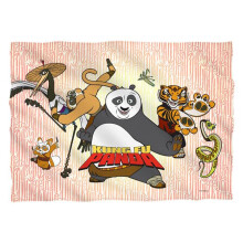 Trevco Sportswear DRM291FB-PLO1-0 20 x 28 in. Kung Fu Panda Kung Fu Group Front Back Print Pillow Case, White