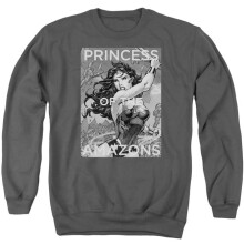 Trevco Sportswear JLA556B-AS-1 JLA Princess of The Amazons Adult Crewneck Sweatshirt, Charcoal - Small