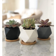 Chez JuJu 3 pcs Vasos Cerâmicos Geométricos Modernos 3" com Drenagem | Bandeja de Bambu