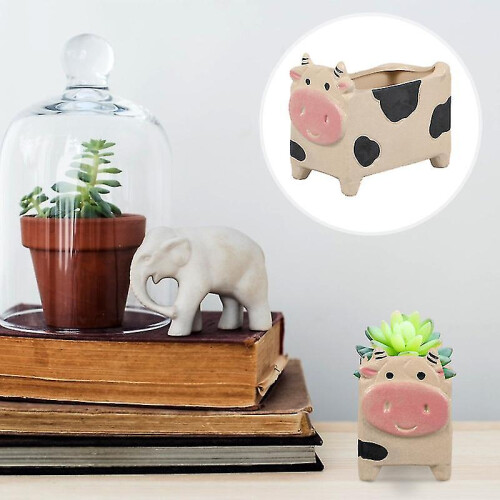 2pcs Household Plant Container 2