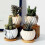 8pcs Ceramic Flower Pot 3