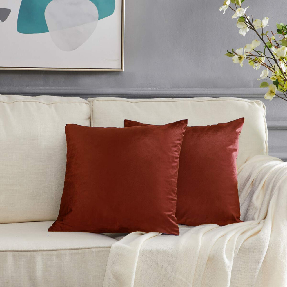 GIGIZAZA Decor Throw Sofa Pillow Covers Lot de 2 Housses de Coussin de Canap    Orange Br   l    Taies d'oreiller en Velours 24 x 24 pouces