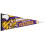 Minnesota Vikings Wimpel 12x30 Premium Style 2