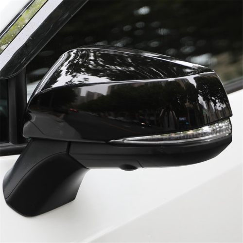 For 2019-2024 Exterior Side Rearview Mirror Cover 2