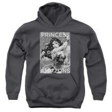 Trevco Sportswear JLA556B-YFTH-2 JLA Princess of The Amazons Youth Hooded Sweatshirt, Charcoal - Medium