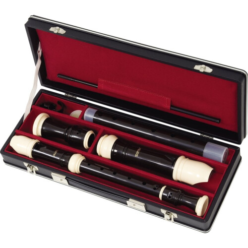 Aulos Recorder Multi (C539)