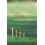 Pride Professional Tee System ProLength Plus Tee 3-1/4-Inch 75 Count Bag (Blue on Natural) 4