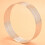 8Pcs Cake Mousse Ring Round Double Rolled Tart Ring Metal Mold 8cm 6