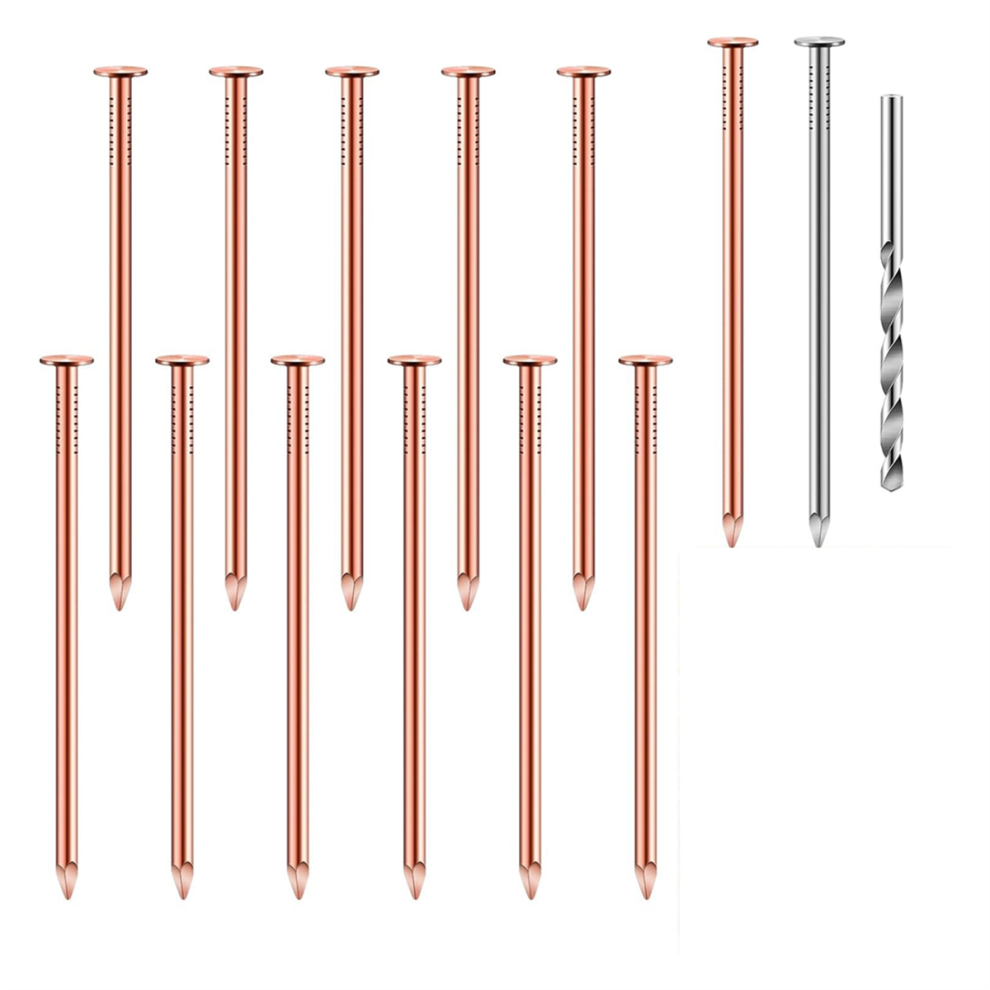 Copper Nails Kit for Tree Stump Removal - 12x 3.5in Pure Copper Nails + 1 Stainless Steel Nail + 1 Cobalt Drill Bit