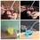 Christmas Vacation Cup Set Glass Cup Holiday Glassware for Drinks 5
