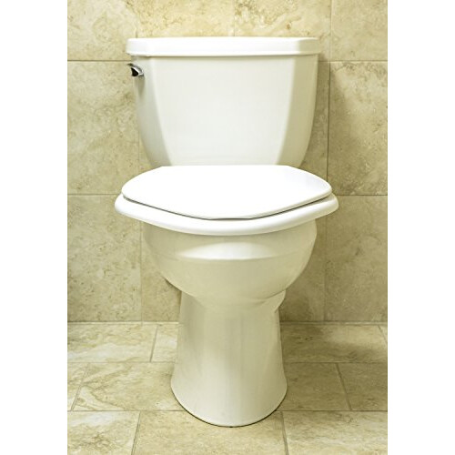 Big John Products 6W Big John 6 -W bergro 2