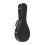 Stagg GCA-M Basic Bluegrass Mandoline Fall 1
