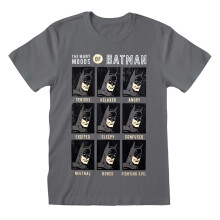 (Medium) Batman 'Many Moods of Batman' (Grey) T-Shirt