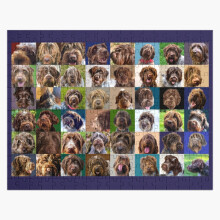 (GRIFF PUZZLE SPECIAL EDITION=771) Jigsaw Puzzle Wooden 300-Piece for Adults Kids Seniors- Home Decor Family Activity Game Wall Art 38x26cm / 15x10inch Birthday Party Gift Toy
