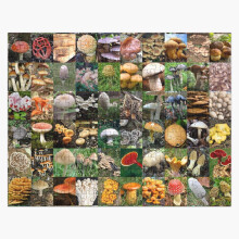 (Mushrooms=787) Jigsaw Puzzle Wooden 300-Piece for Adults Kids Seniors- Home Decor Family Activity Game Wall Art 38x26cm / 15x10inch Birthday Party Gift Toy