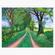 (David Hockney signed - The arrival of spring=2900) Jigsaw Puzzle Wooden 300-Piece for Adults Kids Seniors- Home Decor Family Activity Game Wall Art 38x26cm / 15x10inch Birthday Party Gift Toy