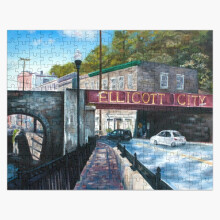 (Ellicott City=5401) Jigsaw Puzzle Wooden 300-Piece for Adults Kids Seniors- Home Decor Family Activity Game Wall Art 38x26cm / 15x10inch Birthday Party Gift Toy