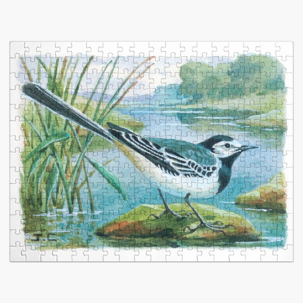 Photos - Jigsaw Puzzle / Mosaic  Jigsaw Puzzle Wooden 300-Piece for Adults Kids Seniors- Home Decor Family Activity Game Wall Art 38x26cm(Gray wagtail=5706)