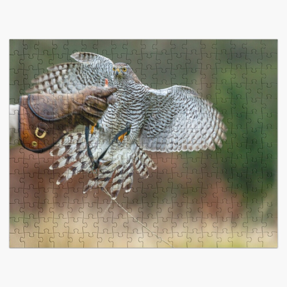 Photos - Jigsaw Puzzle / Mosaic  Jigsaw Puzzle Wooden 300-Piece for Adults Kids Seniors- Home Decor Family Activity Game Wal(Young Goshawk in training=5772)