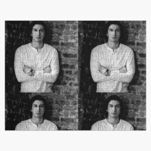 (Adam driver=5956) Jigsaw Puzzle Wooden 300-Piece for Adults Kids Seniors- Home Decor Family Activity Game Wall Art 38x26cm / 15x10inch Birthday Party Gift Toy