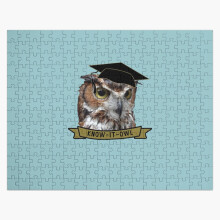 (Wet Owl with Graduation, Know it Owl, Gift for Owl lover and Birthdays, Winterowl=6367) Jigsaw Puzzle Wooden 300-Piece for Adults Kids Seniors- Home Decor Family Activity Game Wall Art 38x26cm / 15x10inch Birthday Party Gift Toy