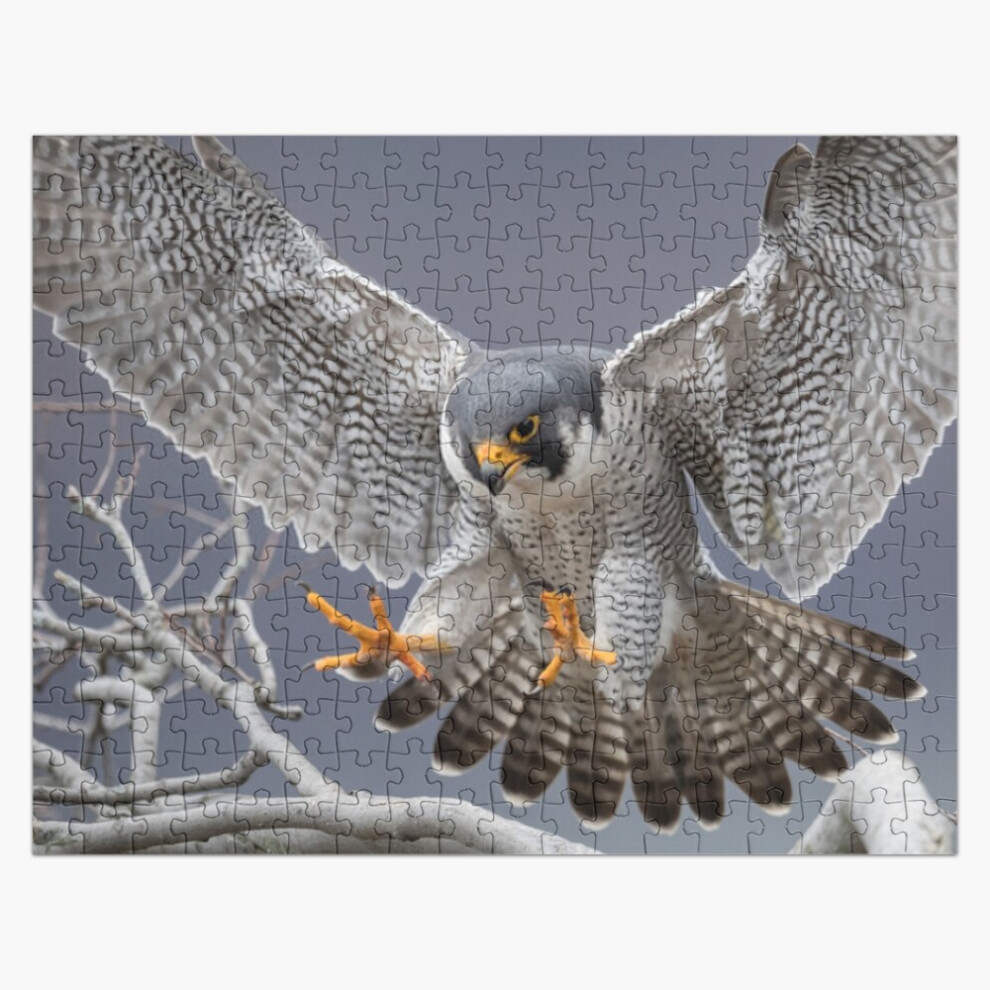 Bearlad (Peregrine Falcon=8024) Jigsaw Puzzle Wooden 300-Piece For Adults Kids Seniors- Home Decor Family Activity Game Wall Art 38X26cm / 15X10inch Birthday