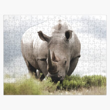 (Rhino=9101) Jigsaw Puzzle Wooden 300-Piece for Adults Kids Seniors- Home Decor Family Activity Game Wall Art 38x26cm / 15x10inch Birthday Party Gift Toy