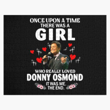(Once Upon Aimehere was A Girl Who Really Loved Donny Osmond =9538) Jigsaw Puzzle Wooden 300-Piece for Adults Kids Seniors- Home Decor Family Activity Game Wall Art 38x26cm / 15x10inch Birthday Party Gift Toy