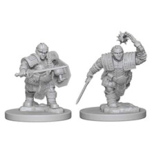 D&D Nolzur Maravilhosas Miniaturas Sem Pintura: Onda 2: Lutadora An