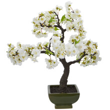 N?sten naturligt kirseb?rblossom bonsai kunstigt tr?