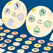 Jeu de société en bois, Cycle de croissance de la vie, jouet Puzzle assorti d'animaux et de plantes pour enfants,