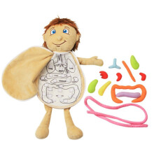 Structure du corps en tissu pour enfants, poupée Puzzle, garçons et filles, Structure des organes humains, jouets