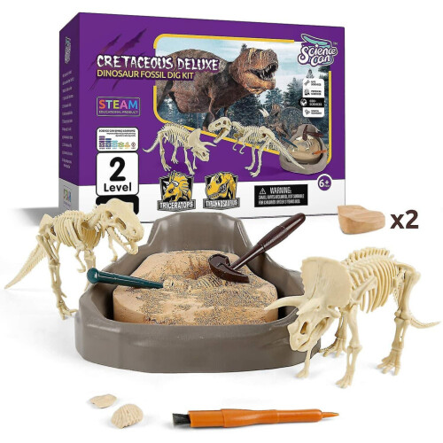 Kit De Fossiles Dinosaures – Creuse 6 Squelettes Phosphorescents – Dès 6 Ans